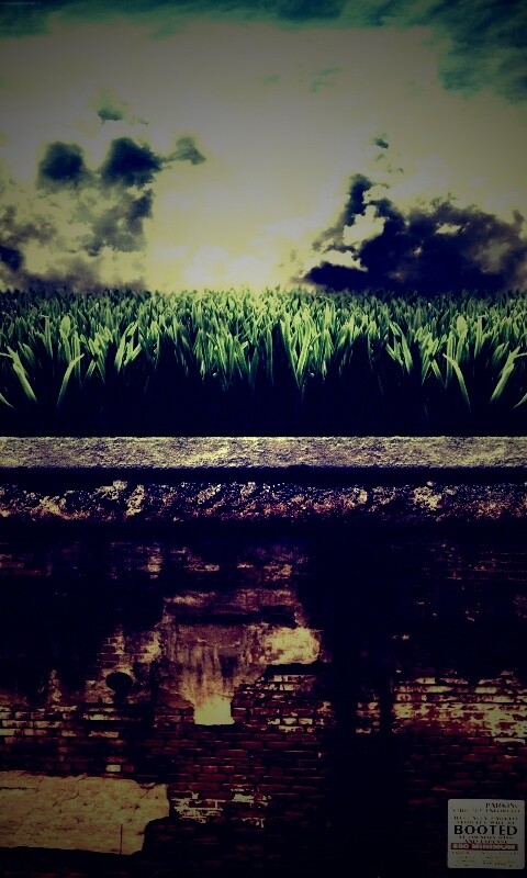 По другю сторону обои