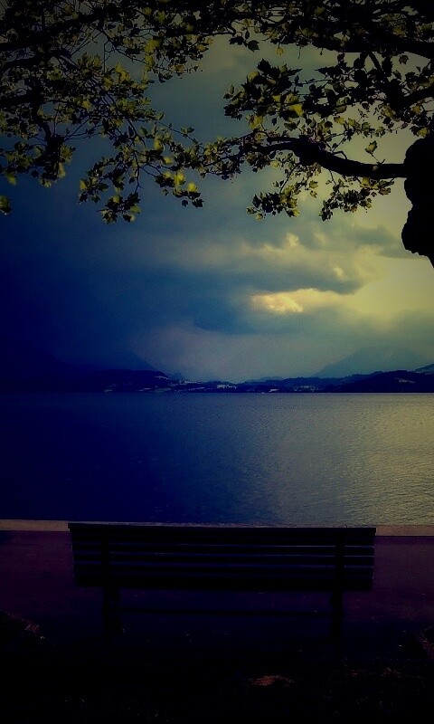 Скамейка на берегу обои