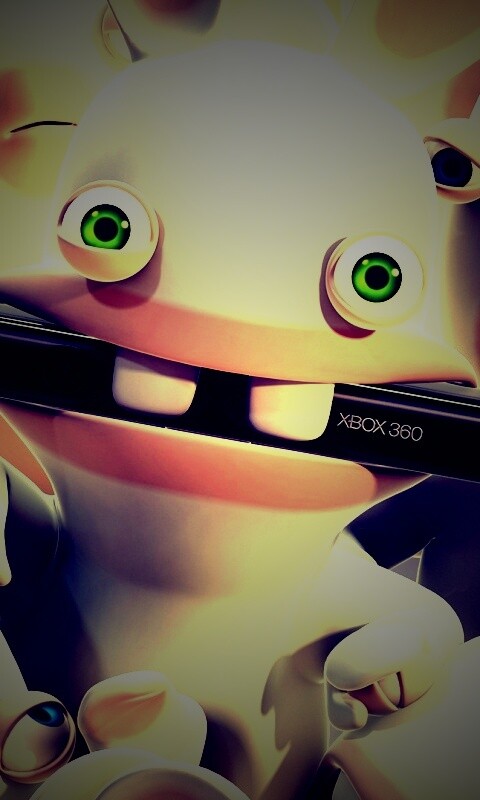 Кролик грызет кинект обои