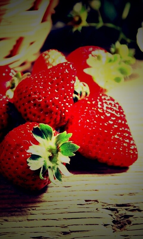 Клубничка обои