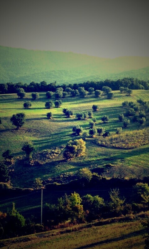 Ферма в долине обои