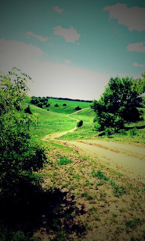 Просёлочная дорога обои