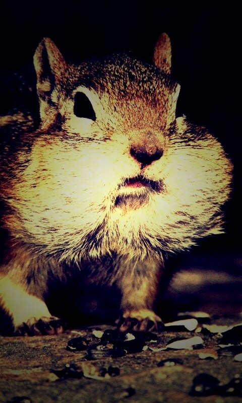 Не жадный, а бережливый обои