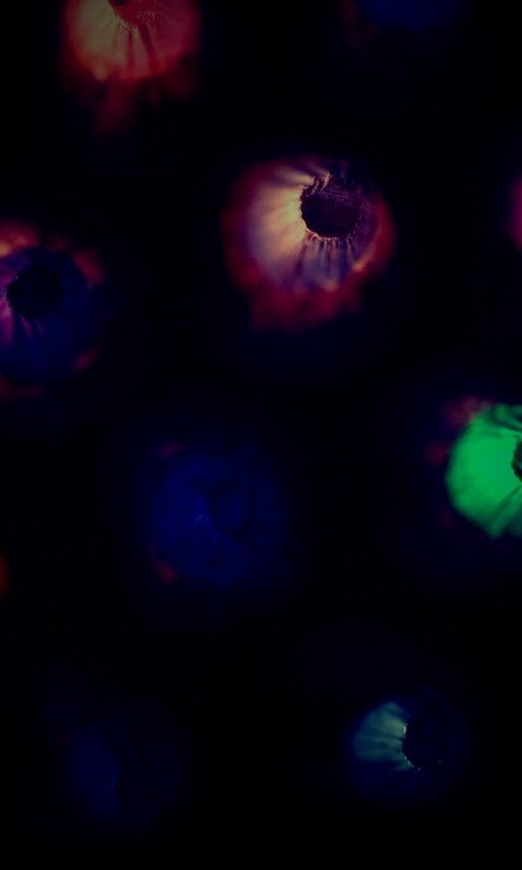 Карандаши обои