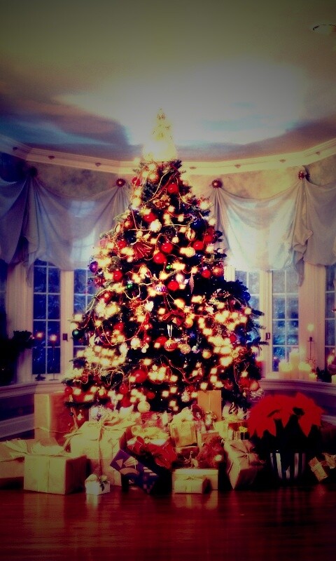 Подарки под ёлкой обои