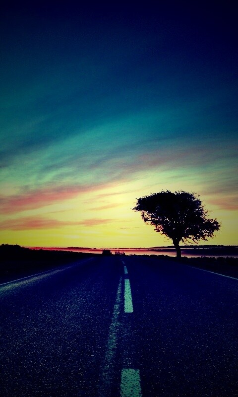 Дорога обои