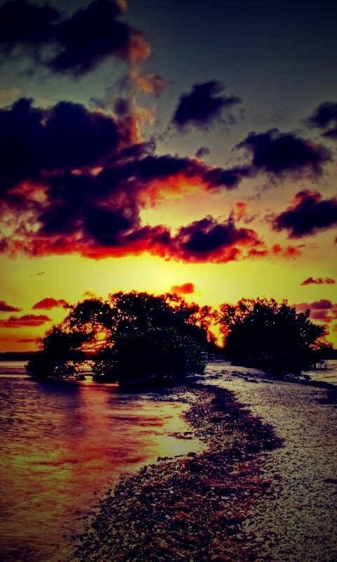 Побережье на закате обои