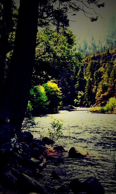 Национальный заповедник обои