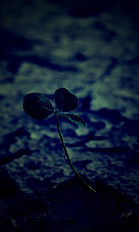 Сила природы обои