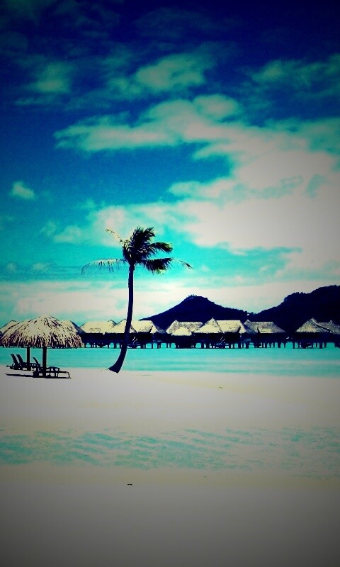 Побережье Бора-бора обои
