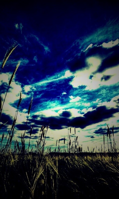 HDR Поле обои