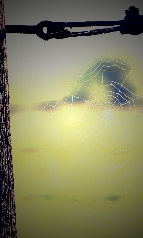 Паутина 51 обои