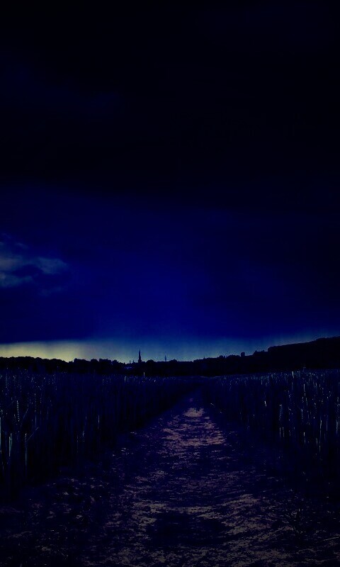 Поле ночью обои