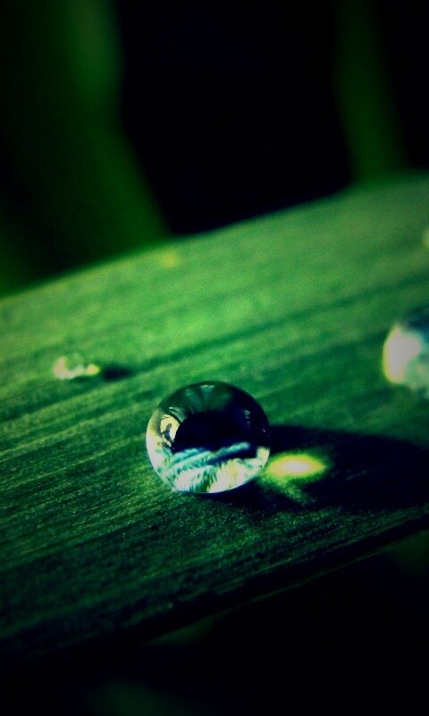 Капли росы на листе обои