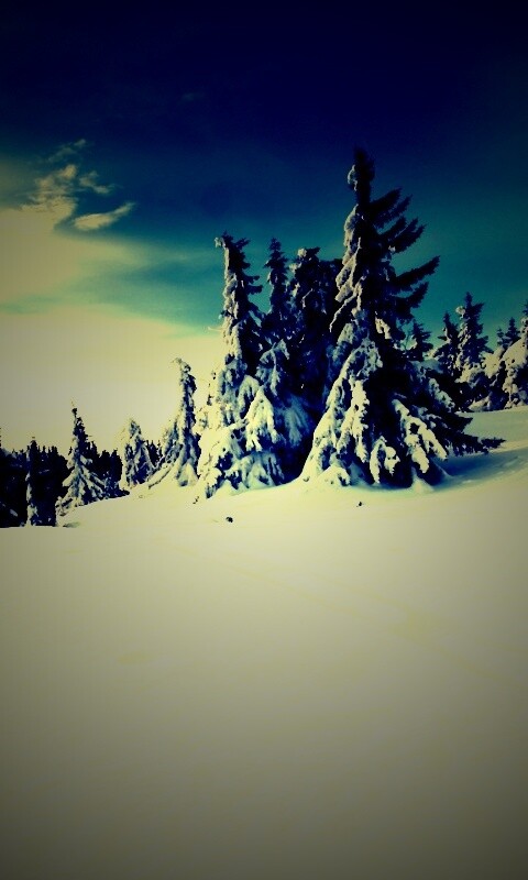 Зимние просторы обои