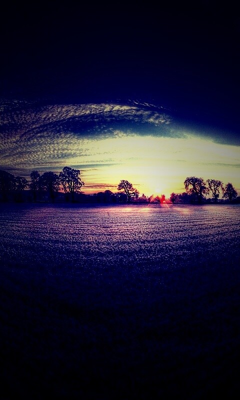 Поле широкоугольным объективом обои