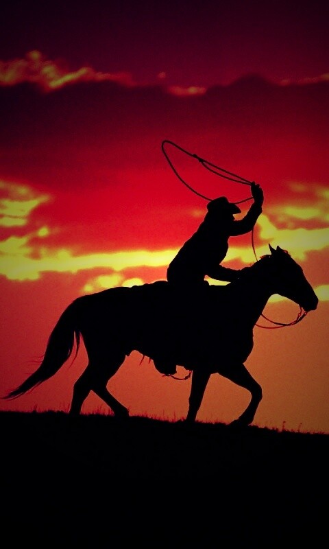 Силуэт ковбоя на закате обои