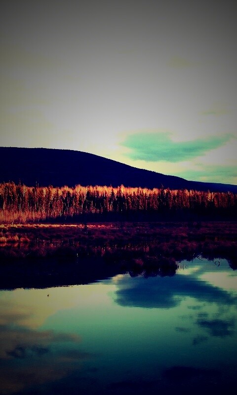 Осеннее озеро обои