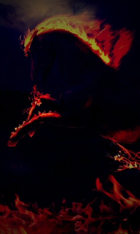 Огненный скакун обои