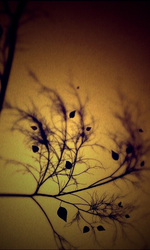 Это осень обои