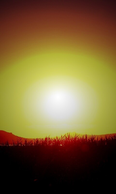 Сельский закат обои