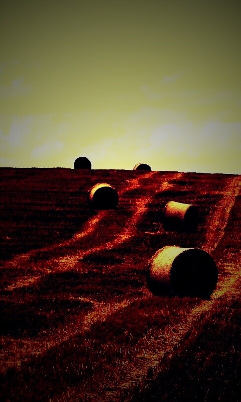 Уборка сена с поля обои