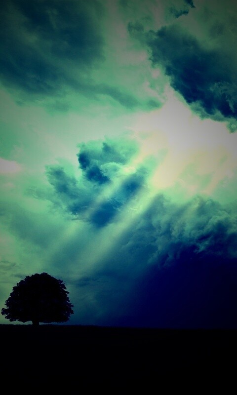 Избранный обои