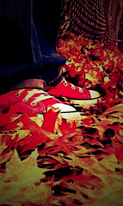 Оранжевые кеды обои