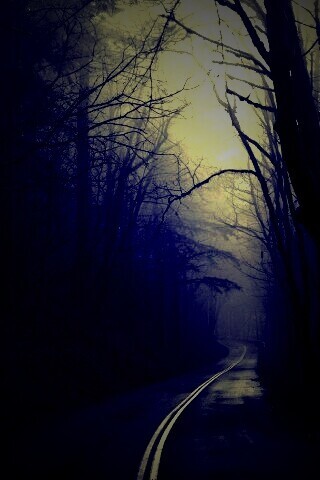 В туман обои