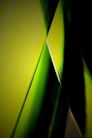 Травинки на свету обои