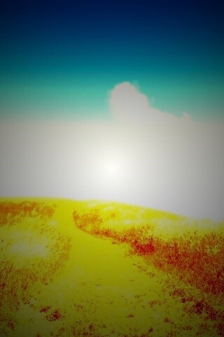 Золоте поле обои