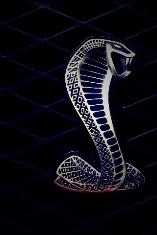 Логотипа Форда Шелби обои