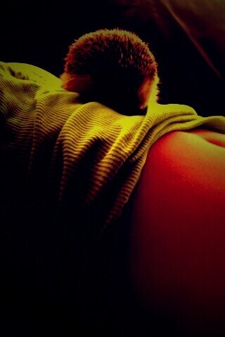 Девушка и ёжик обои