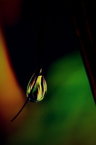 Стекающая капля обои