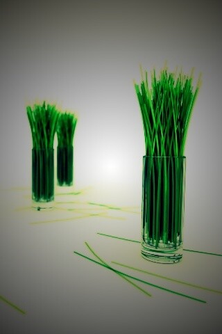 Трава в стакане обои