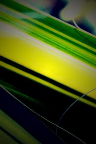 Желто-зеленые травинки обои