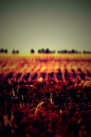 Поле перед вспашкой обои