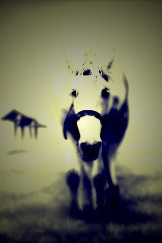 Лошадка обои