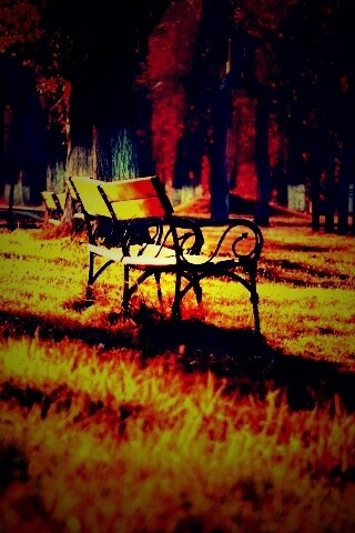 Скаймейка в осеннем парке обои