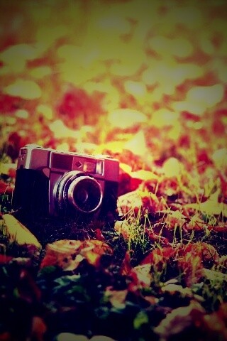 Старый фотоаппарат в траве обои