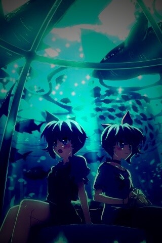 В океанариуме обои