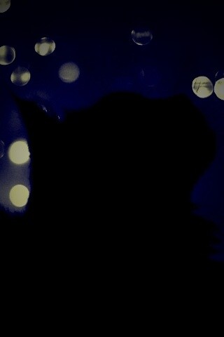 Силуэт черного кота обои