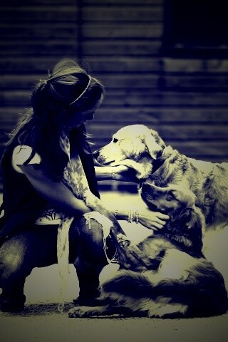 Девушка с собаками обои