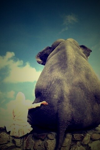 Девочка и слон обои