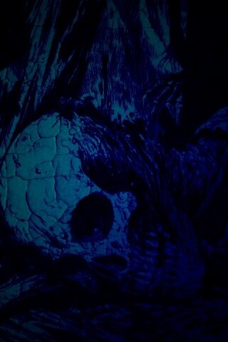 Тлеющий скелет обои