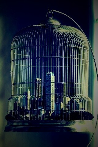 Город в клетке обои