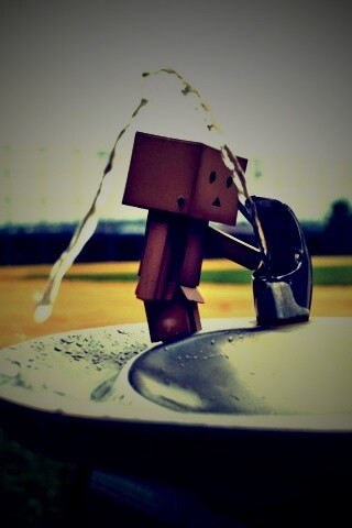 Дандо пьет в воду из фонтанчика обои