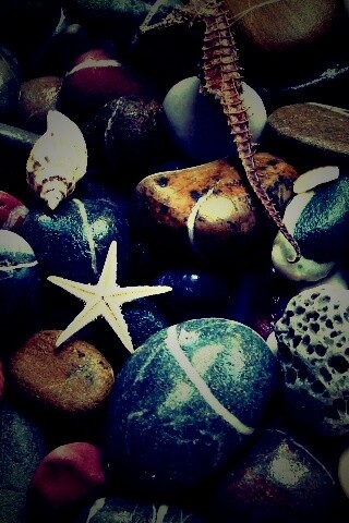 Морские камешки и фауна обои