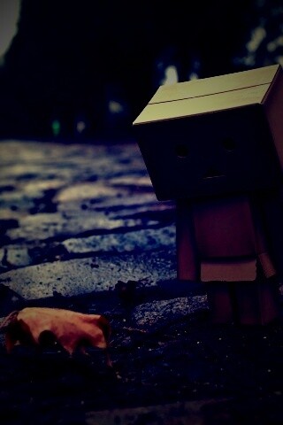 Danbo и первый осенний лист обои