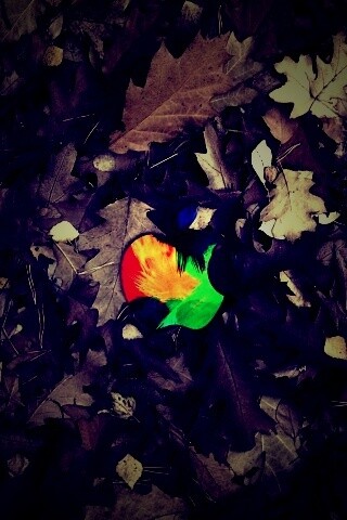 Эпл в сухой листве обои